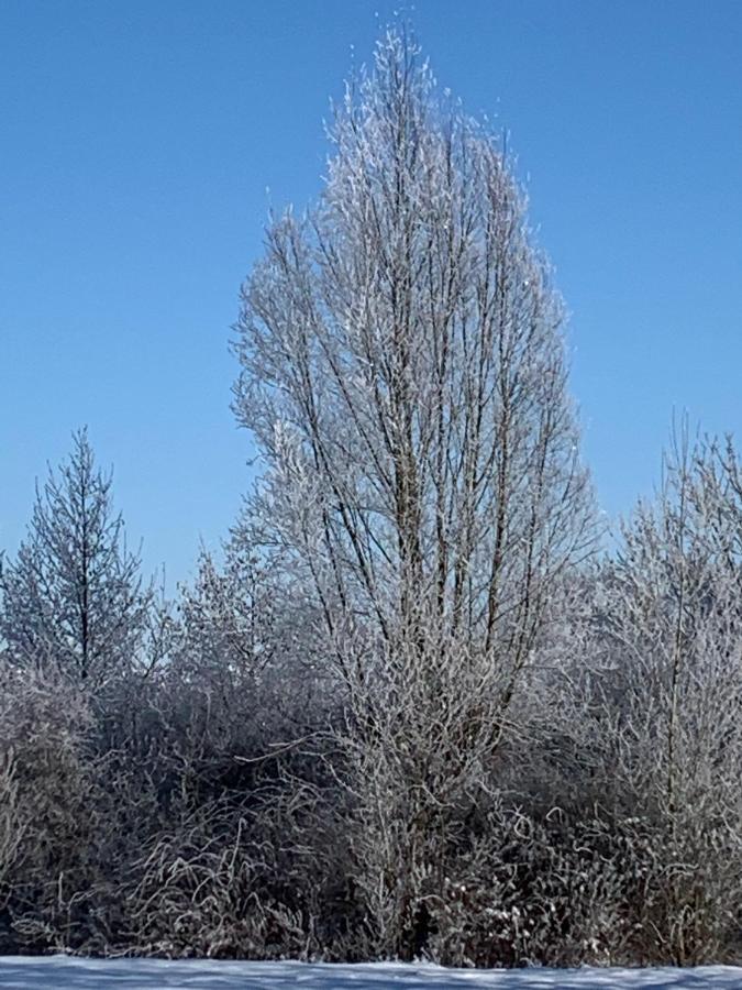 Wohlfuehl Appartments Felsberg Zewnętrze zdjęcie